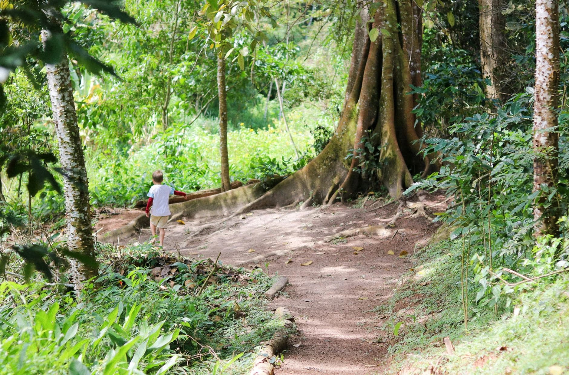 Agência de turismo local em São Tomé – Ngué Daí